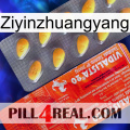 Ziyinzhuangyang new01